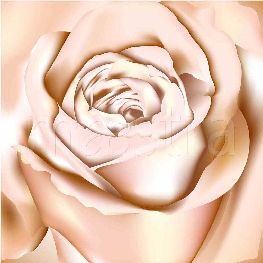Фотообои Бежевые розы шикарные