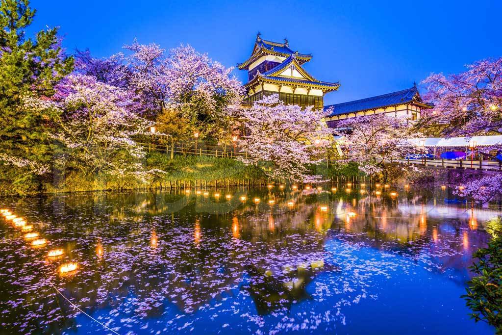Фотообои Сказочный замок Корияма с цветущими садами