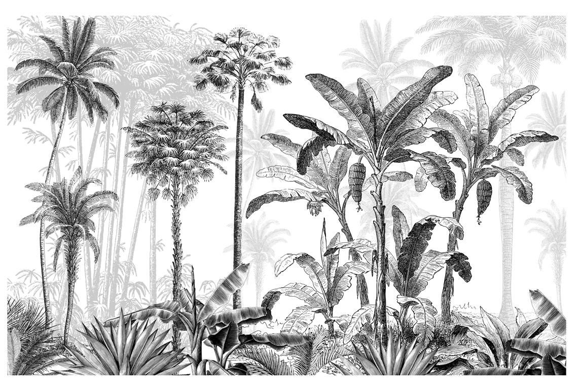 Фотообои Тропический лес